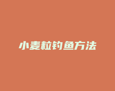 小麦粒钓鱼方法