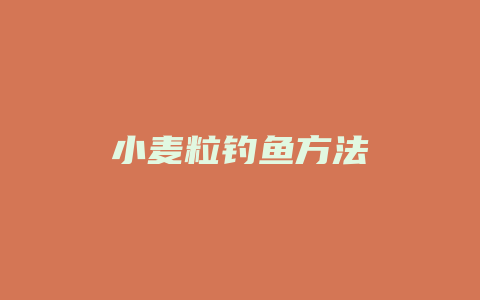 小麦粒钓鱼方法