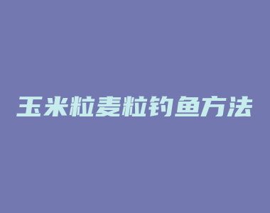 玉米粒麦粒钓鱼方法