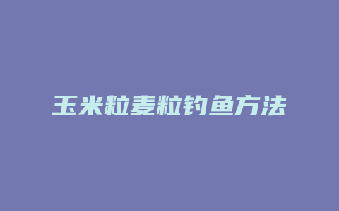 玉米粒麦粒钓鱼方法