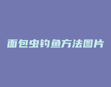 面包虫钓鱼方法图片