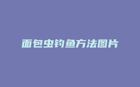 面包虫钓鱼方法图片