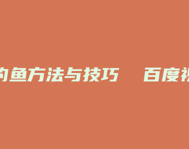 钓鱼方法与技巧  百度视频