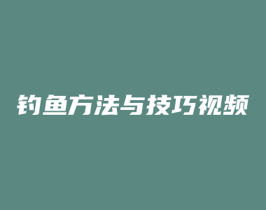 钓鱼方法与技巧视频