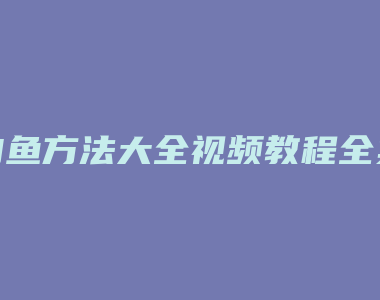 钓鱼方法大全视频教程全集