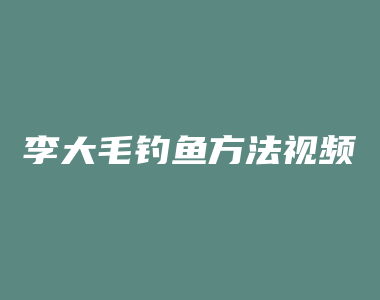 李大毛钓鱼方法视频