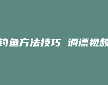 钓鱼方法技巧 调漂视频