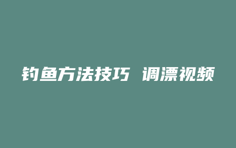 钓鱼方法技巧 调漂视频