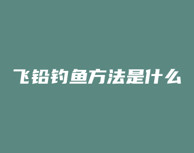 飞铅钓鱼方法是什么