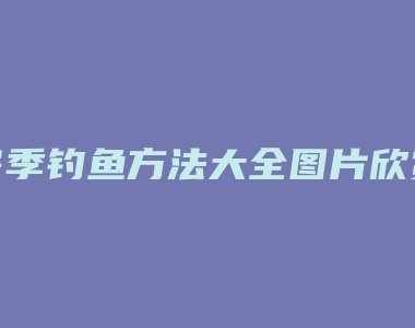 冬季钓鱼方法大全图片欣赏