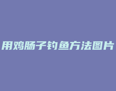 用鸡肠子钓鱼方法图片