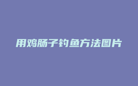 用鸡肠子钓鱼方法图片