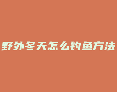 野外冬天怎么钓鱼方法