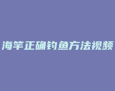 海竿正确钓鱼方法视频