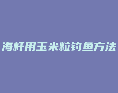 海杆用玉米粒钓鱼方法