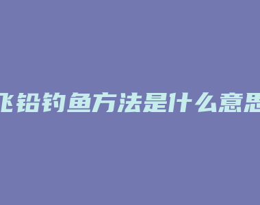 飞铅钓鱼方法是什么意思