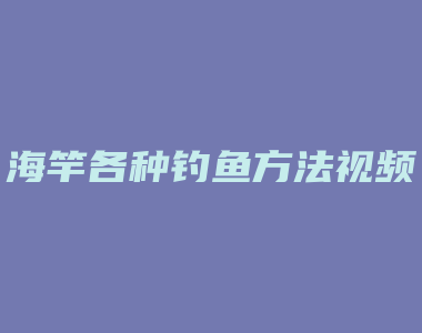 海竿各种钓鱼方法视频