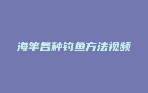 海竿各种钓鱼方法视频