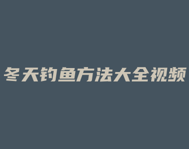 冬天钓鱼方法大全视频