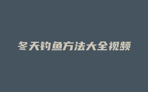 冬天钓鱼方法大全视频