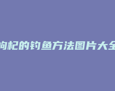 枸杞的钓鱼方法图片大全