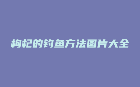 枸杞的钓鱼方法图片大全