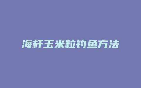 海杆玉米粒钓鱼方法