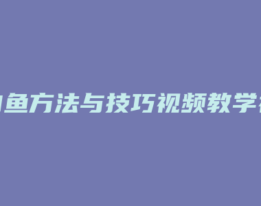 钓鱼方法与技巧视频教学视频教程