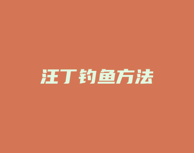 汪丁钓鱼方法