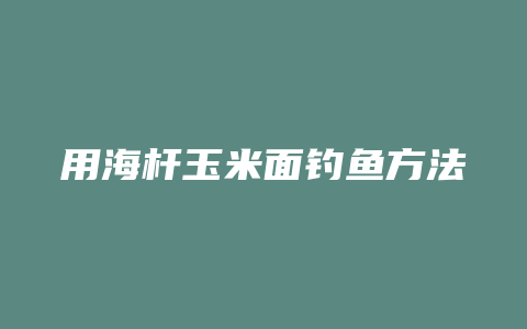 用海杆玉米面钓鱼方法