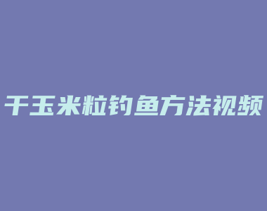 干玉米粒钓鱼方法视频