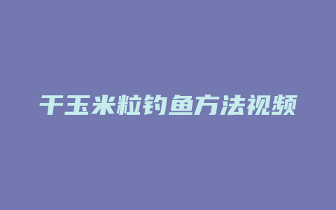 干玉米粒钓鱼方法视频