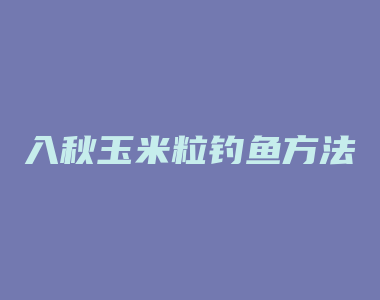 入秋玉米粒钓鱼方法