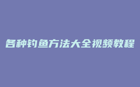 各种钓鱼方法大全视频教程