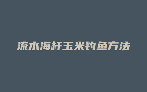 流水海杆玉米钓鱼方法