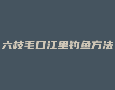 六枝毛口江里钓鱼方法