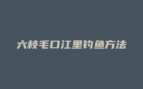 六枝毛口江里钓鱼方法