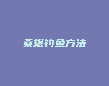 桑椹钓鱼方法