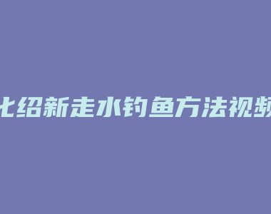 化绍新走水钓鱼方法视频