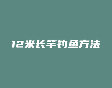 12米长竿钓鱼方法