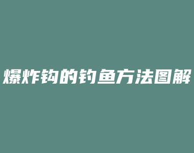 爆炸钩的钓鱼方法图解