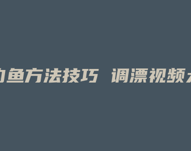 钓鱼方法技巧 调漂视频大全