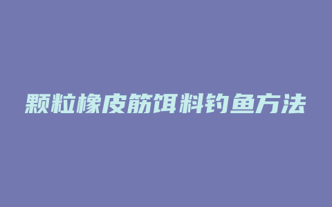 颗粒橡皮筋饵料钓鱼方法