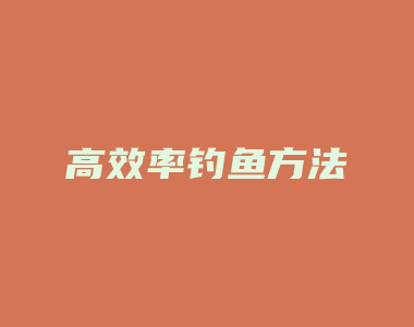 高效率钓鱼方法