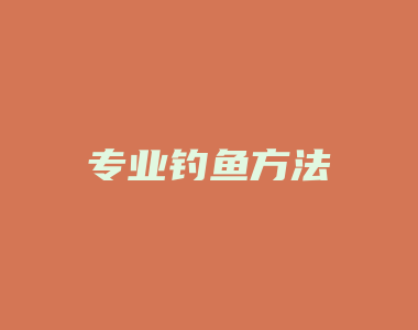 专业钓鱼方法