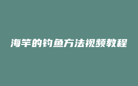 海竿的钓鱼方法视频教程