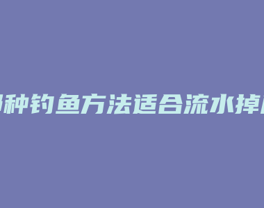 那种钓鱼方法适合流水掉底层鱼