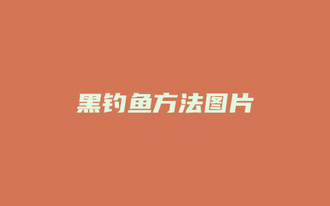 黑钓鱼方法图片