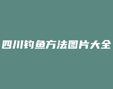 四川钓鱼方法图片大全