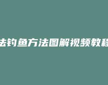 法钓鱼方法图解视频教程